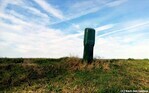 Broekermeerdijk, vlakbij de stadsgrens
              <br/>
              Gert-Jan Lobbes, 24 februari 2019